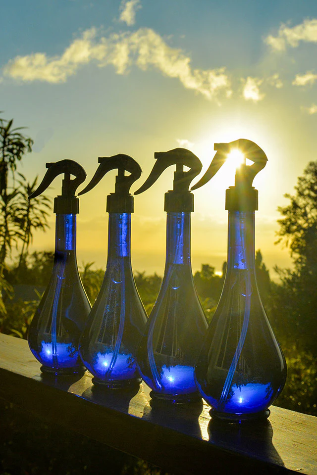 Blue Glass Water Bottles